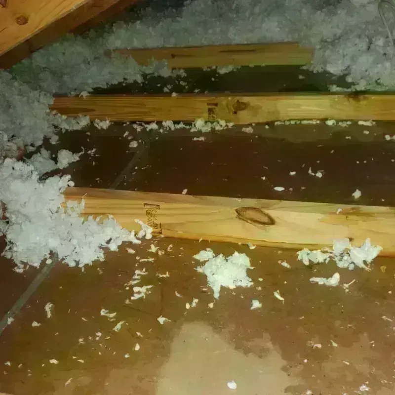 Attic Water Damage in Lebanon, OH