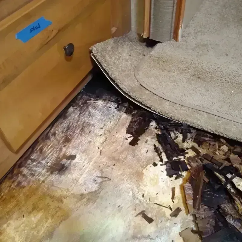 Best Wood Floor Water Damage Service in Lebanon, OH